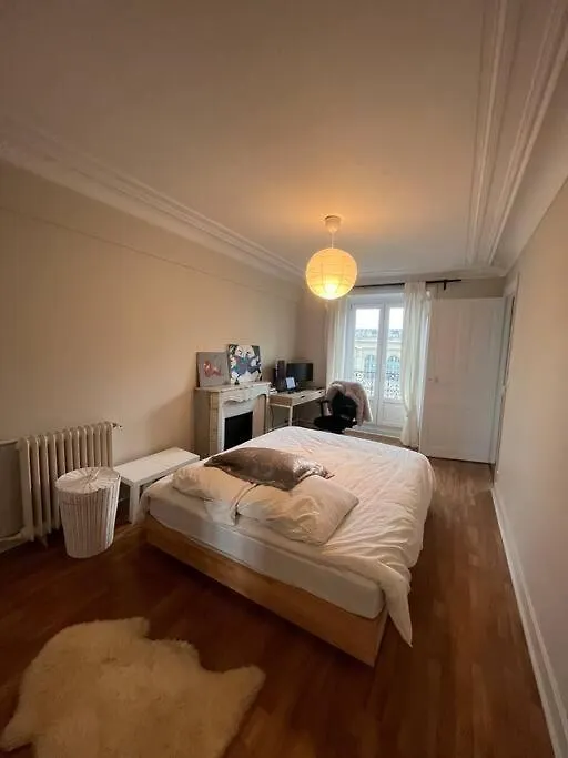 Central Parisian Apartment
