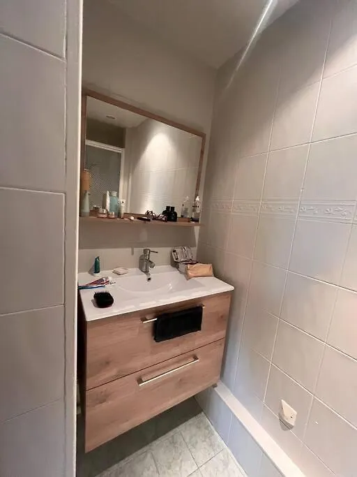 Central Parisian Apartment Paris